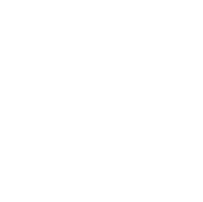 Custom Software Icon