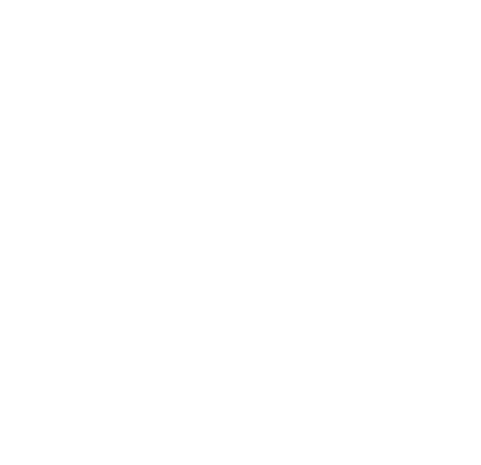 Website Development Icon